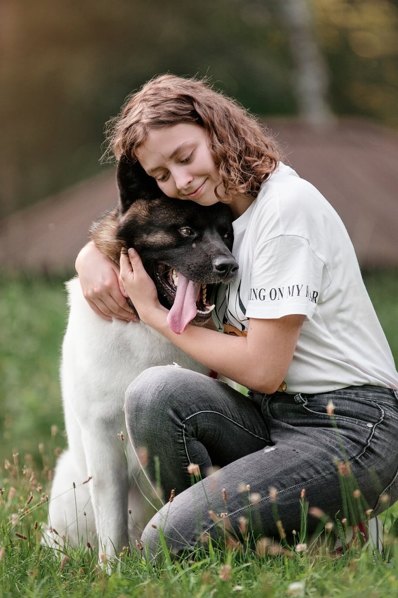 Magical Companions