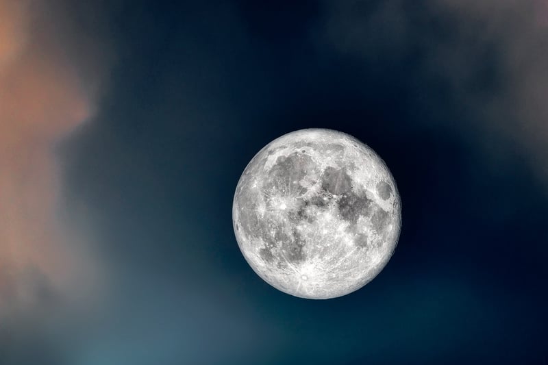 Moonlit Enchantment